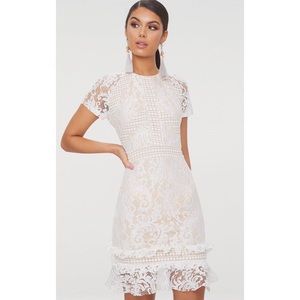 PLT Lace Bodycon Dress
